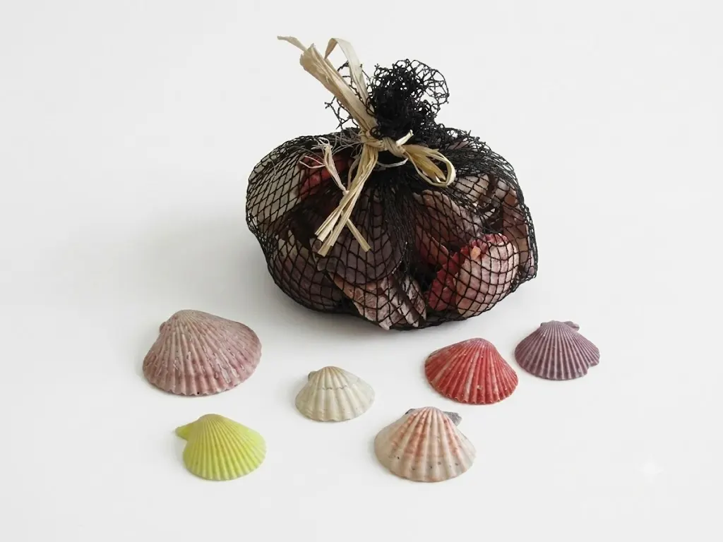 Set 95 Pezzi Conchiglie Naturali Colorate da Decorazione - Misure 7x6 cm