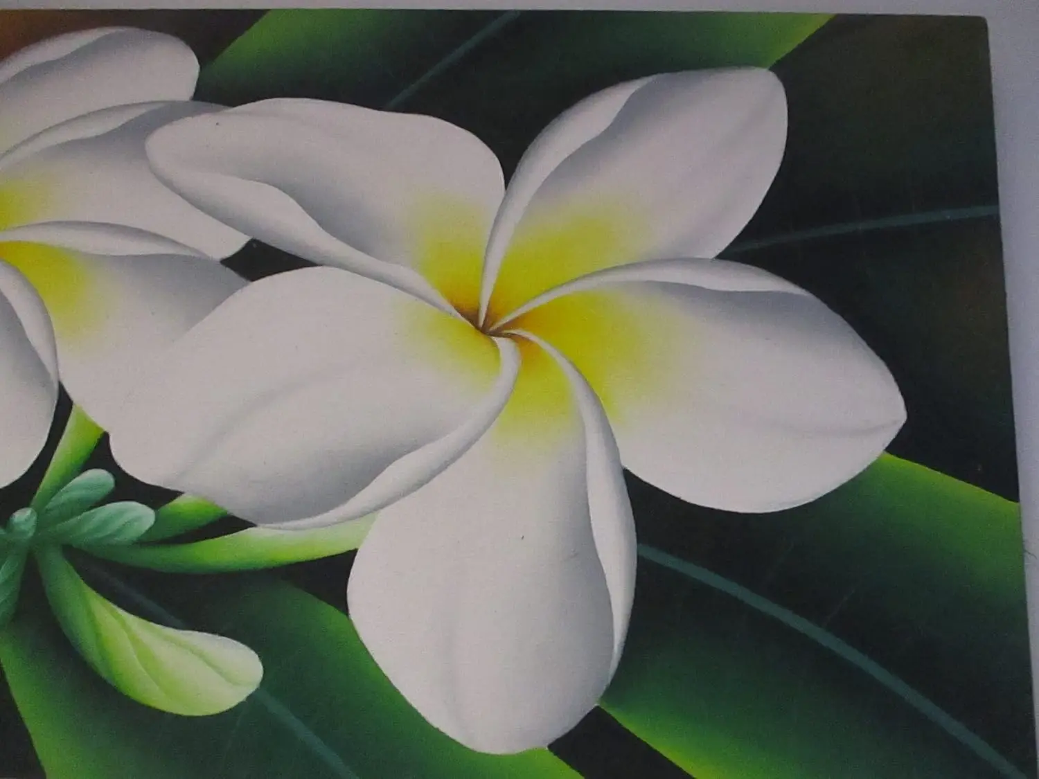 Quadro Batik Panoramico "Frangipani Bianchi di Bali" 100x40 cm – Dipinto a Mano
