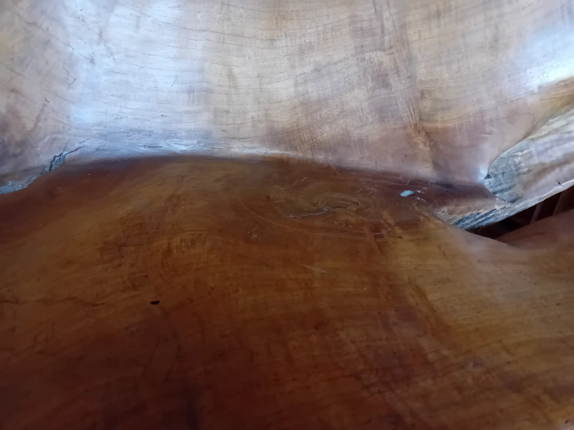 Divano Panca Scultorea in Legno Massello Sagomato – 130x60x100 cm - 4