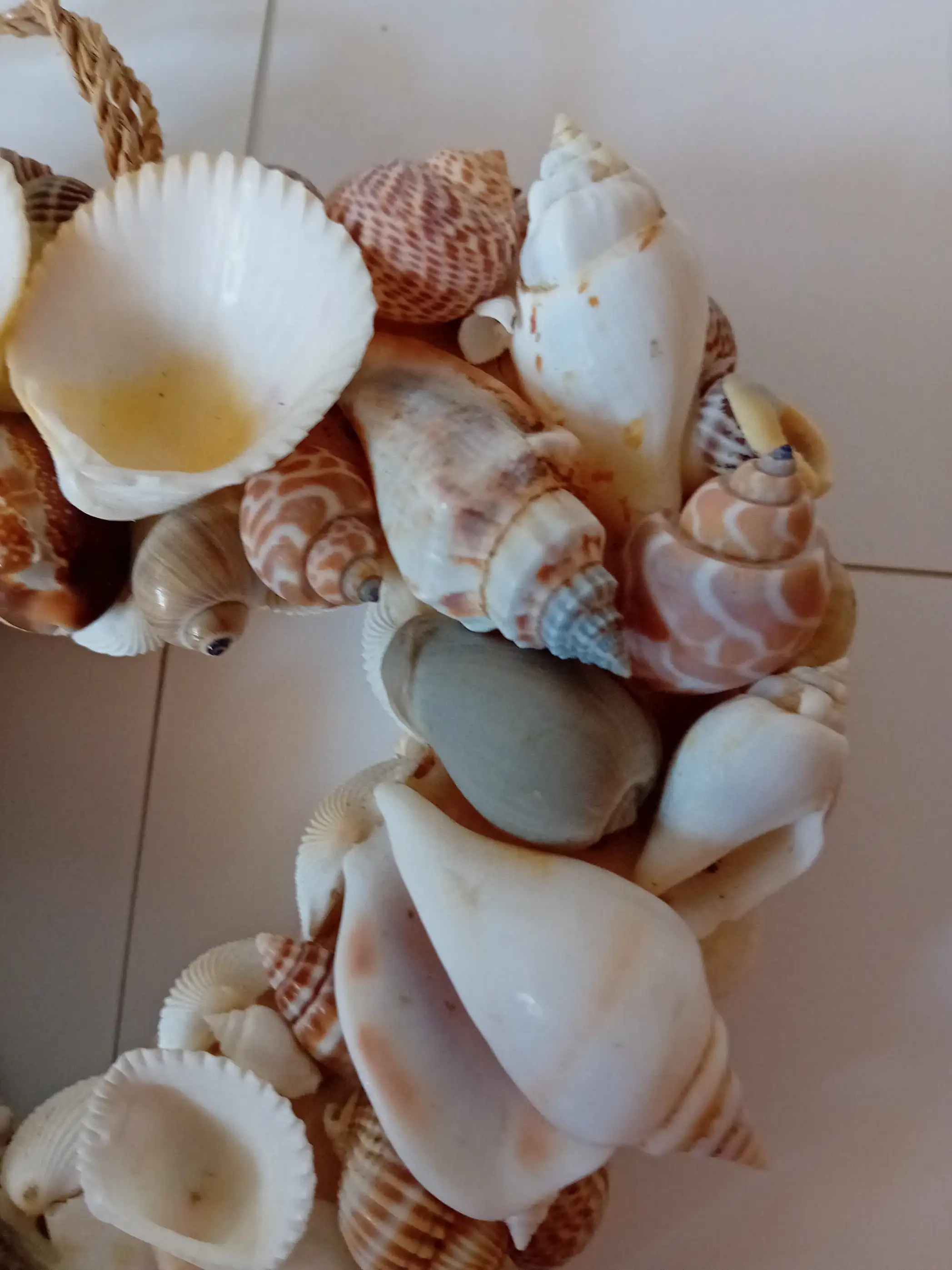 Cuore di Conchiglie da Appendere (15 cm) – Decorazione Mare Artigianale - 3