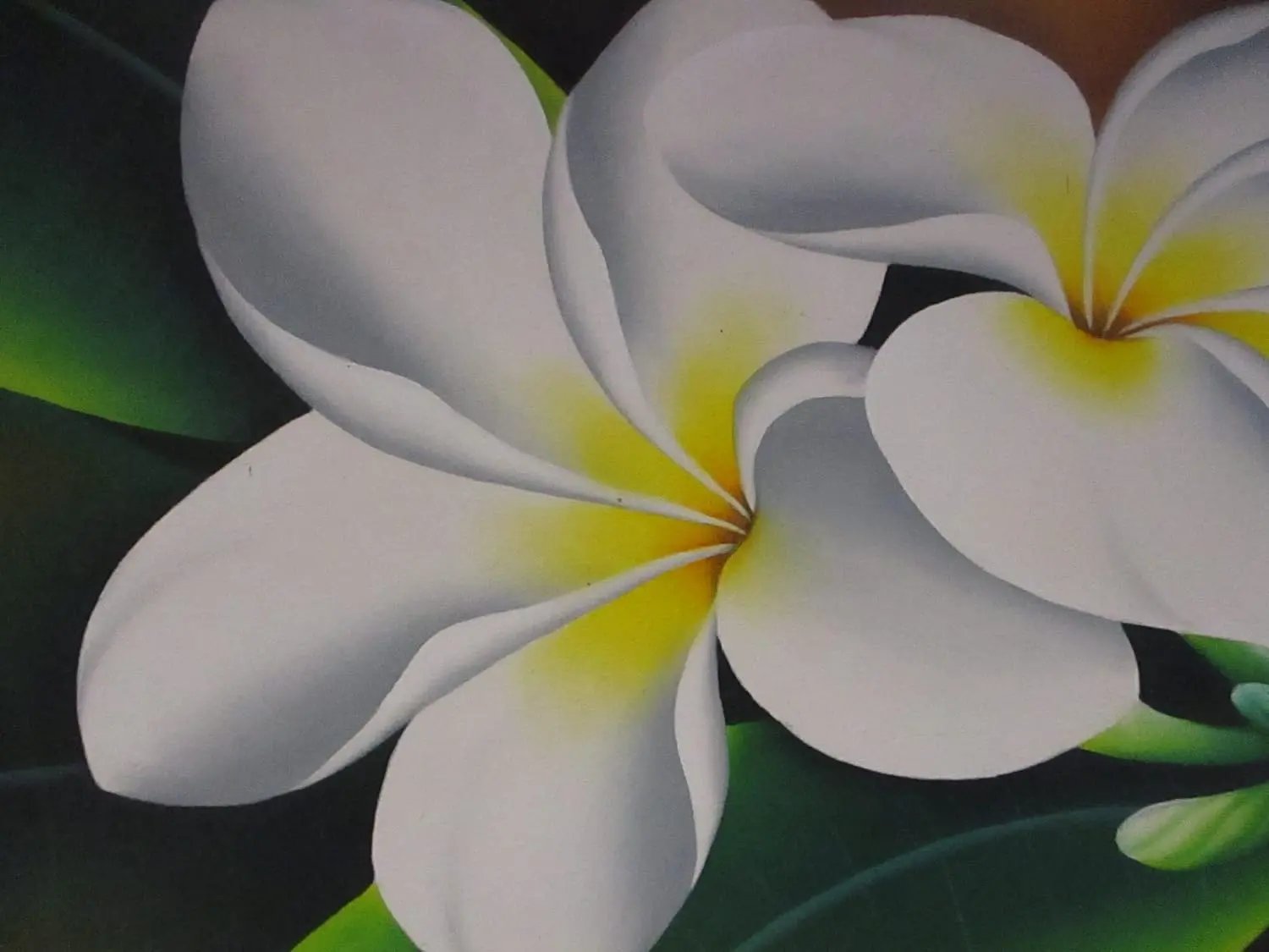 Quadro Batik Panoramico "Frangipani Bianchi di Bali" 100x40 cm – Dipinto a Mano - 3