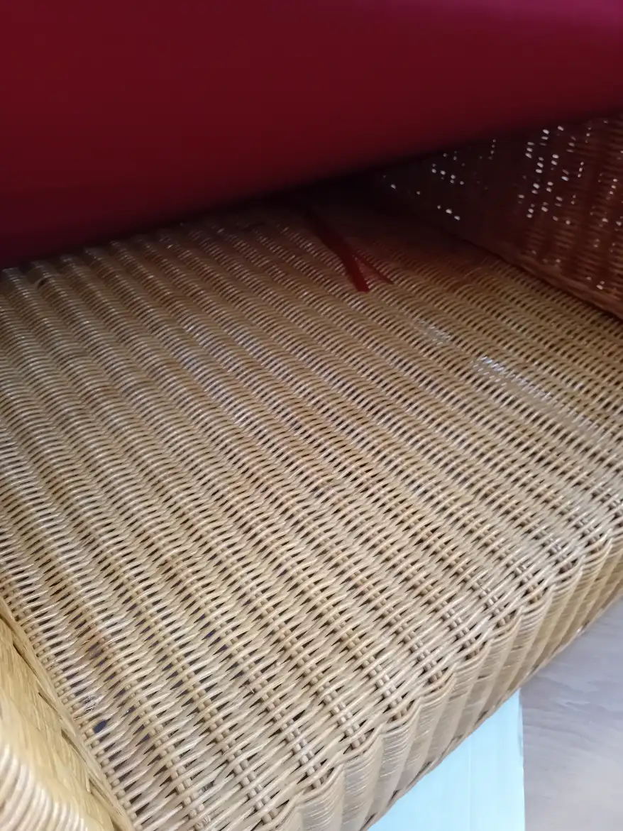 Poltrona in Rattan e Midollino Naturale con Piedi in Teak e Cuscino Sfoderabile - 3