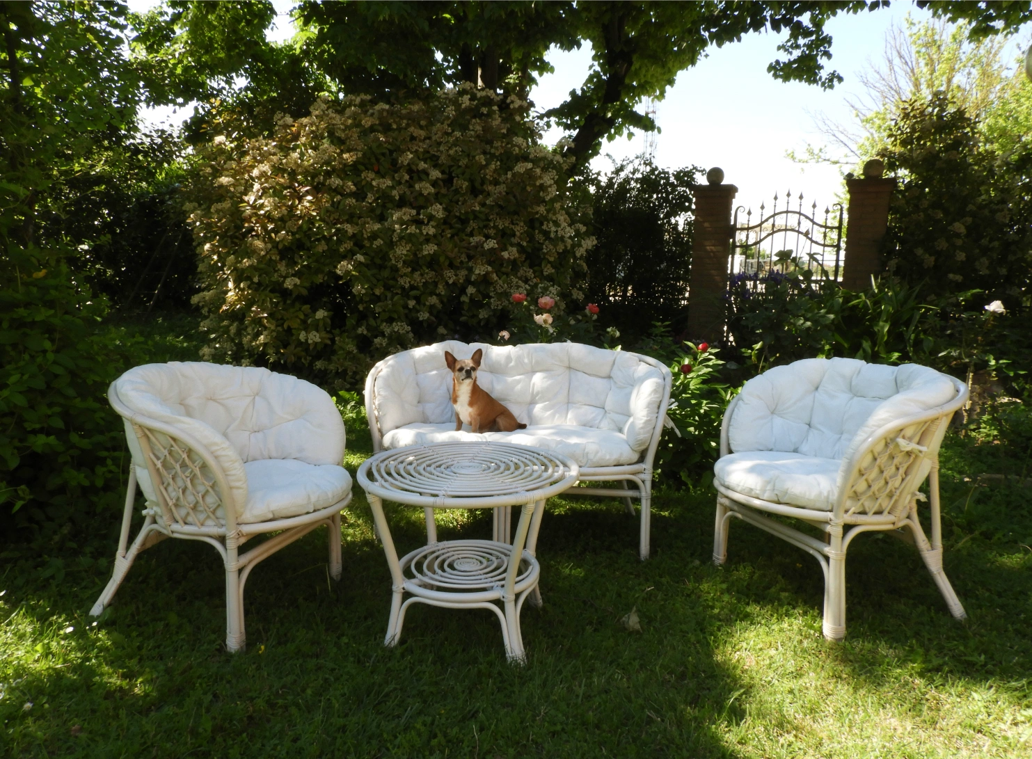 Salotto rattan naturale vimini  Bahama Bianco