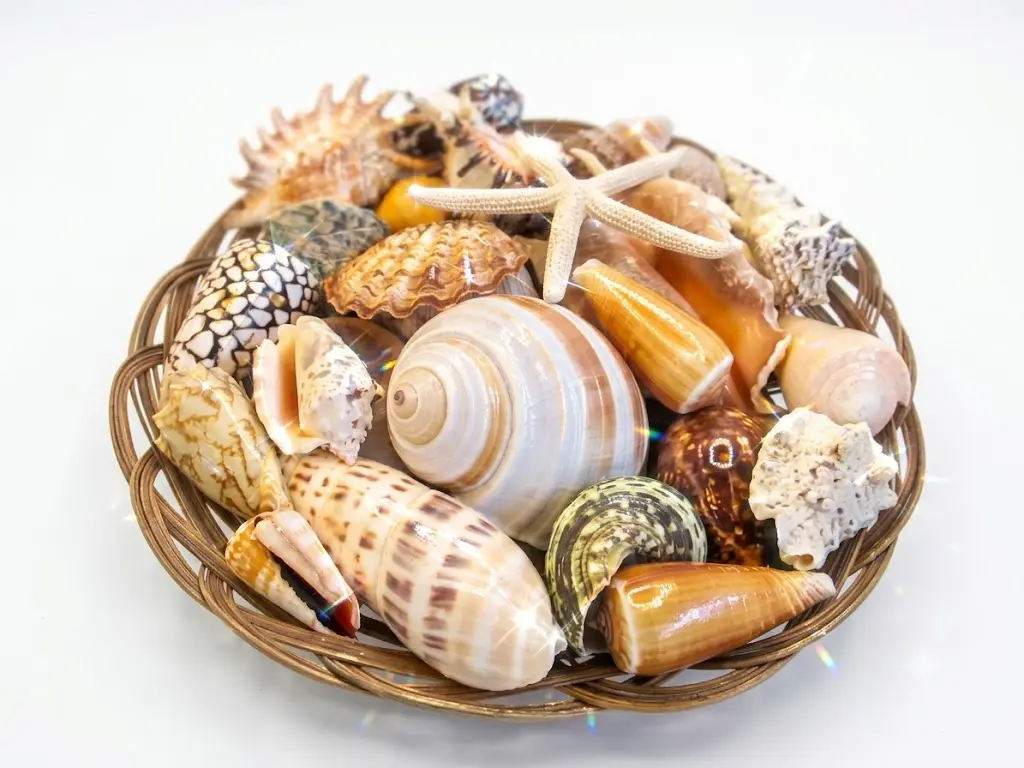 Cestino in Vimini con Conchiglie Naturali Assortite e Stella Marina - ø 31 cm