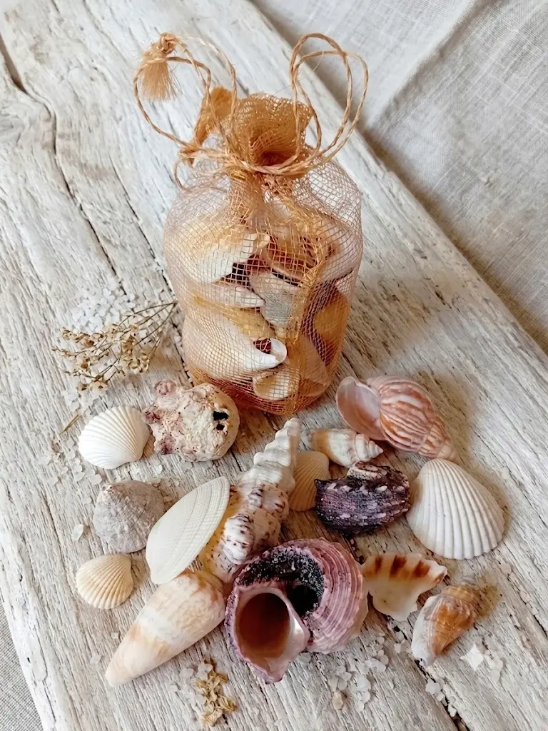 Set di Conchiglie di Mare Naturali Miste con Sacchetto in Rete (3-5 cm)